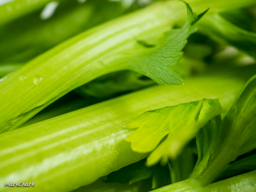 Celery