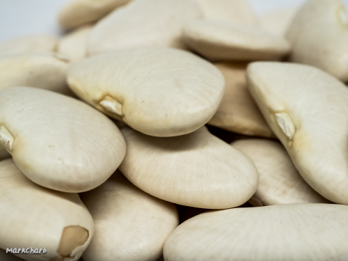 Lima Beans