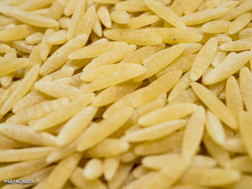 Orzo Pasta